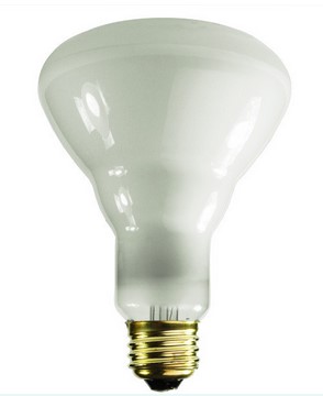 Best Flood Light Bulbs - Sylvania 65 Incandescent Flood BR30