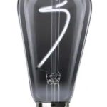 Feit 25W Smoke Glass Light Bulb