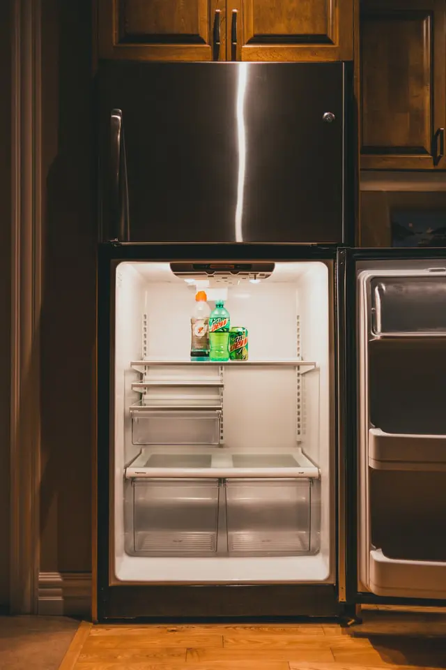 Best Refrigerator Light Bulbs - Refridgerator Open With Soda Bottles